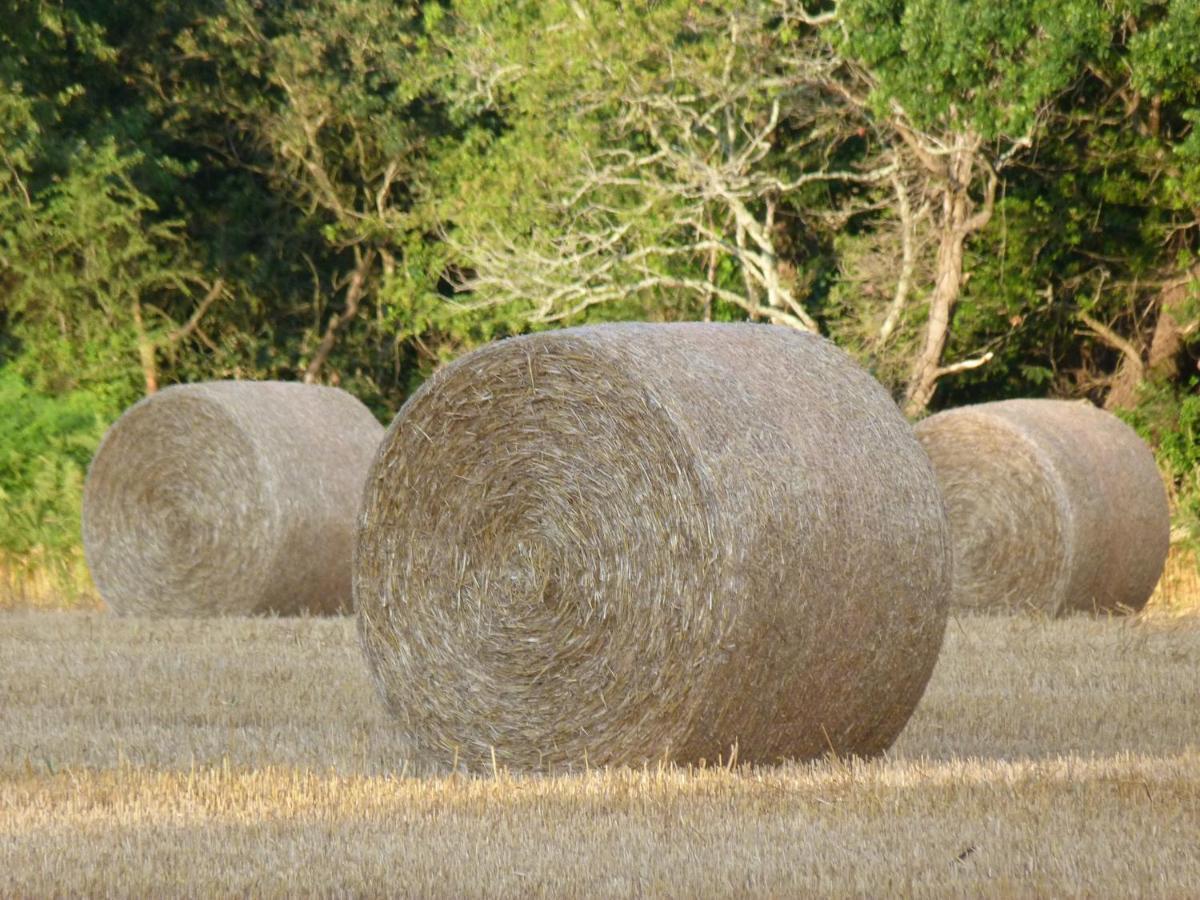 Chambres D'Hotes De Kerpunce Crach Bagian luar foto